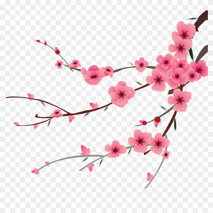 Petal Peach Blossom Flower - Transparent Peach Cherry Blossom #1195499