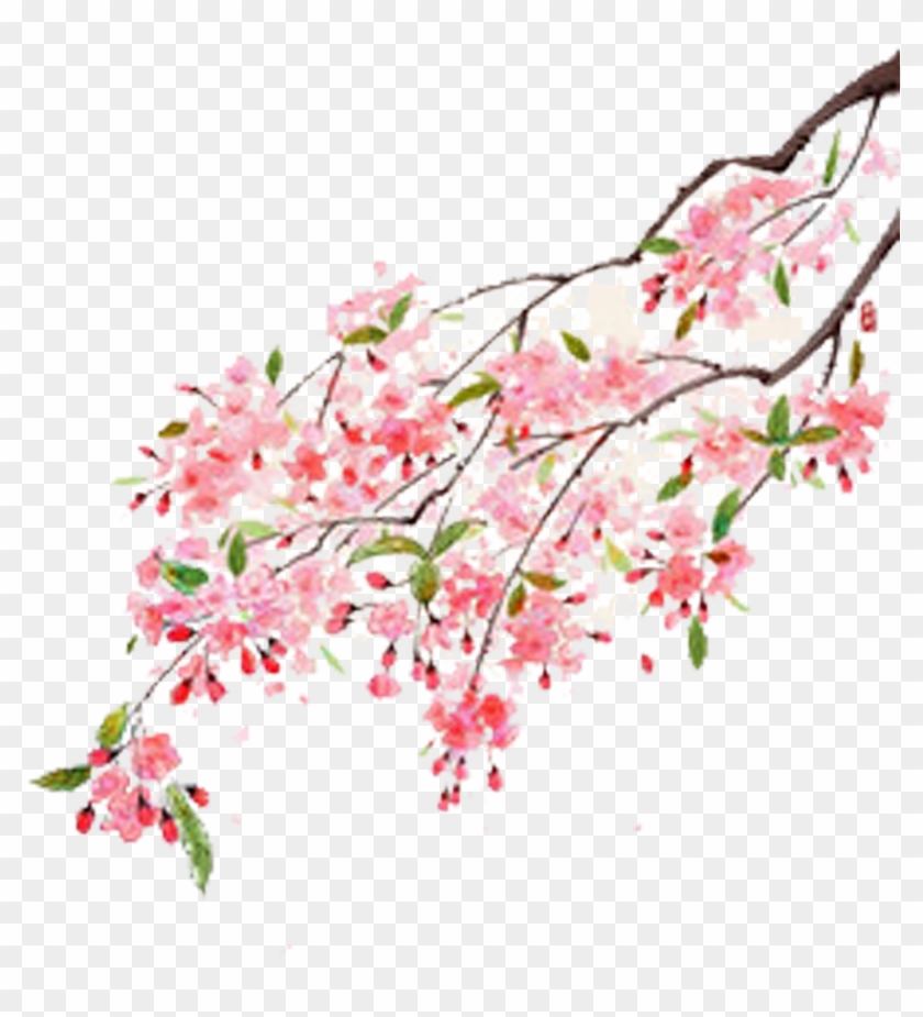 Flower Moutan Peony Illustration - Cherry Blossom #1195500