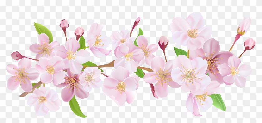 Cherry Blossom Spring Branch Png Clip Art - Png Blossom Branches #1195560