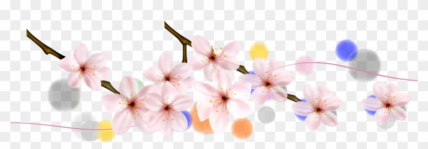 Cherry Blossom Petal Flower - Cherry Blossom #1195563