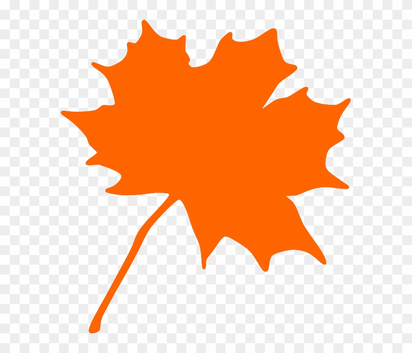 Maple, Autumn, Leaf, Fall, Canada - Maple Leaf Clip Art #1195642