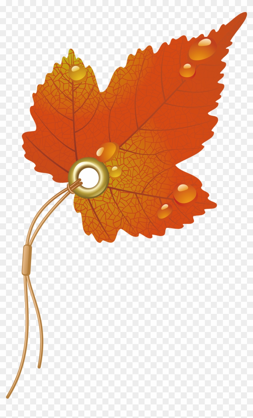 Maple Leaf Clipart Watermelon - Autumn Leaves Vector #1195661