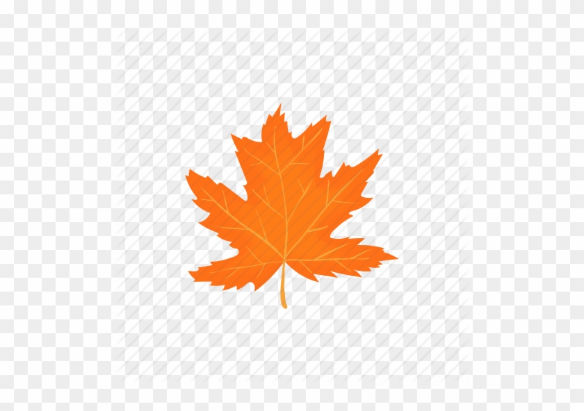 Cartoon Fall Leaf - Autumn Cartoon #1195663