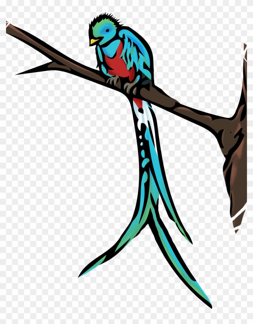 Quetzal - Guatemala Bird Quetzal #1195696
