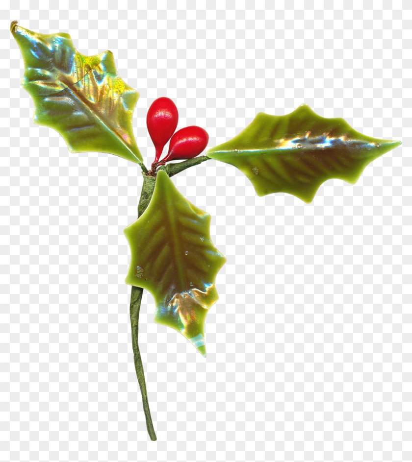 Rama De Árbol De Navidad - Rama De Árbol De Navidad #1195712