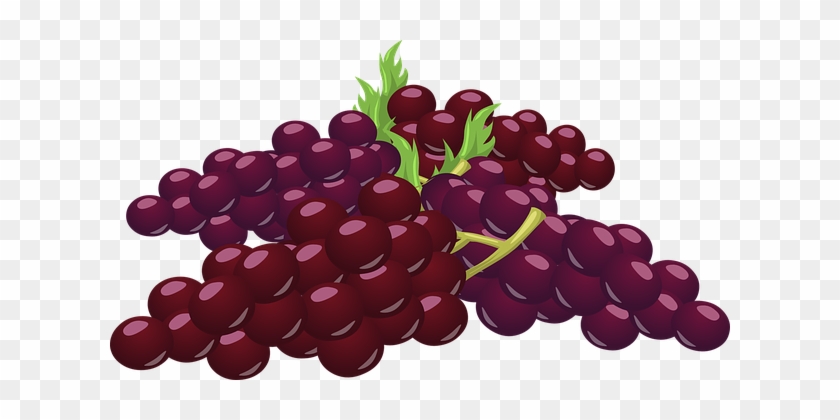 Grapes Bunch Cluster Fruit Purple Red Vine - Bunch Of Grapes Clipart #1195779