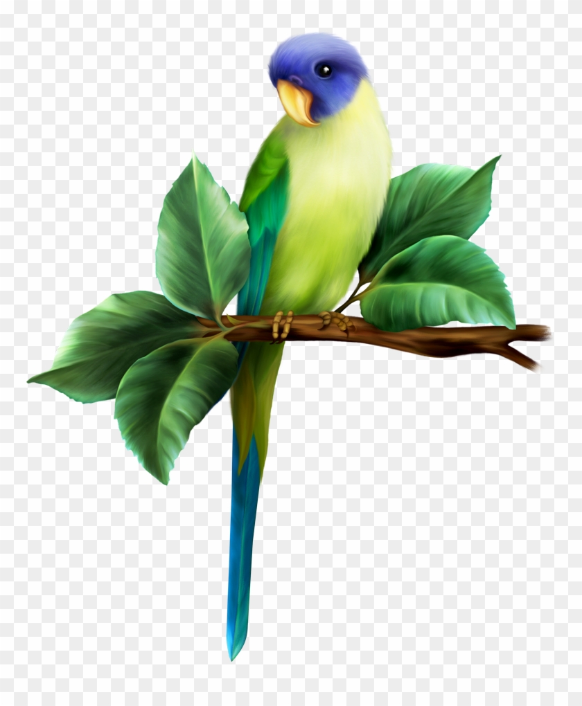 Tropical - Clip Art #1195842
