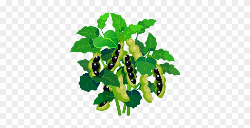 Pea Euclidean Vector Plant - Illustration #1195872