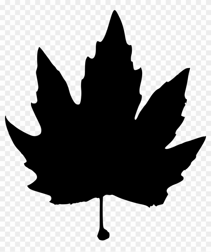 15 Leaf Silhouette - Scalable Vector Graphics #1195881
