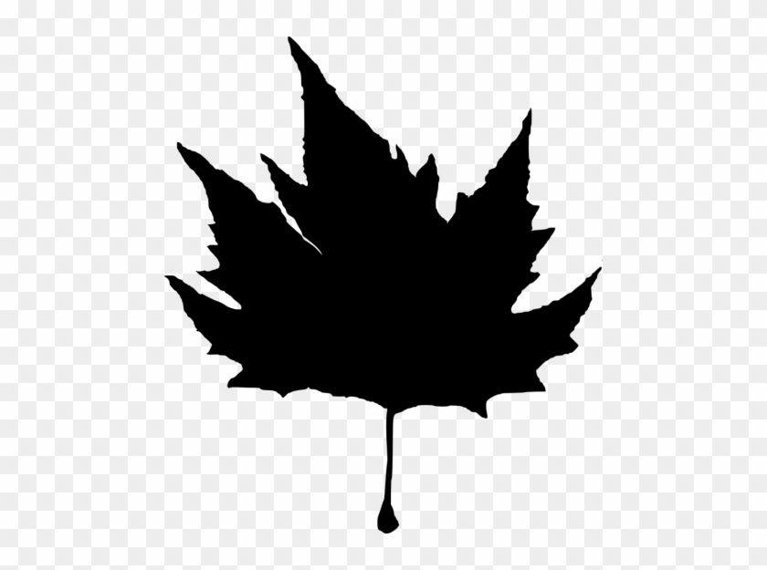 Free Png Leaf Silhouette Png Images Transparent - Maple Leaf #1195894
