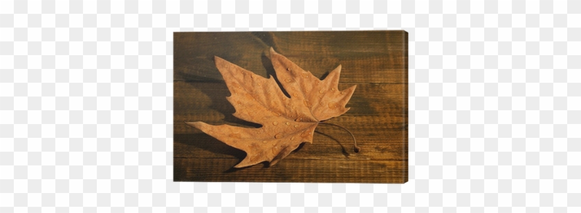 Dry Maple Leaf With Drops, On Wooden Background Canvas - Painting #1195906
