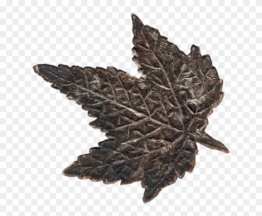 Maple Leaf #1195914