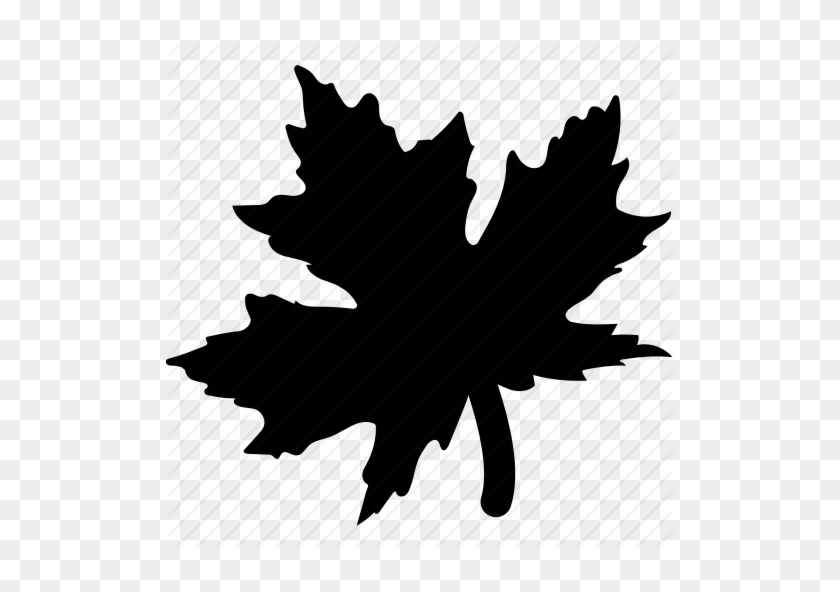 Plants Maple Leaf Icon - Chinar Leaf Logo #1195920
