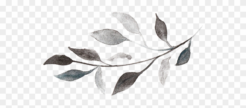 Watercolor Leaf - Salam Jumaat Black White #1195930