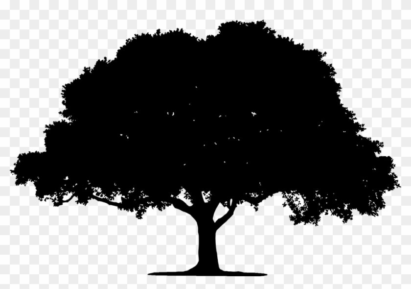 Tree, Landscape, Plant, Leaf, Leaves, Vegetation - Silhouette Of A Tree #1195941