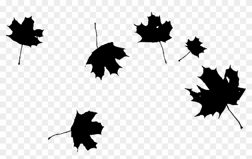 Maple Maple Leaf Leaf Leaves Png Image - Grape Leaf Clip Art #1195944