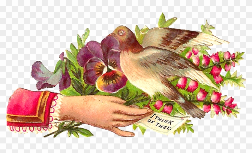 Free Bird Clip Art - Victorian Hand Art #1195980