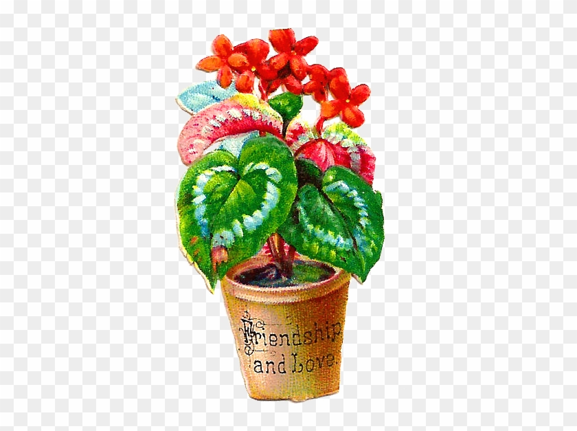 Free Flower Graphic - Flowerpot #1196013
