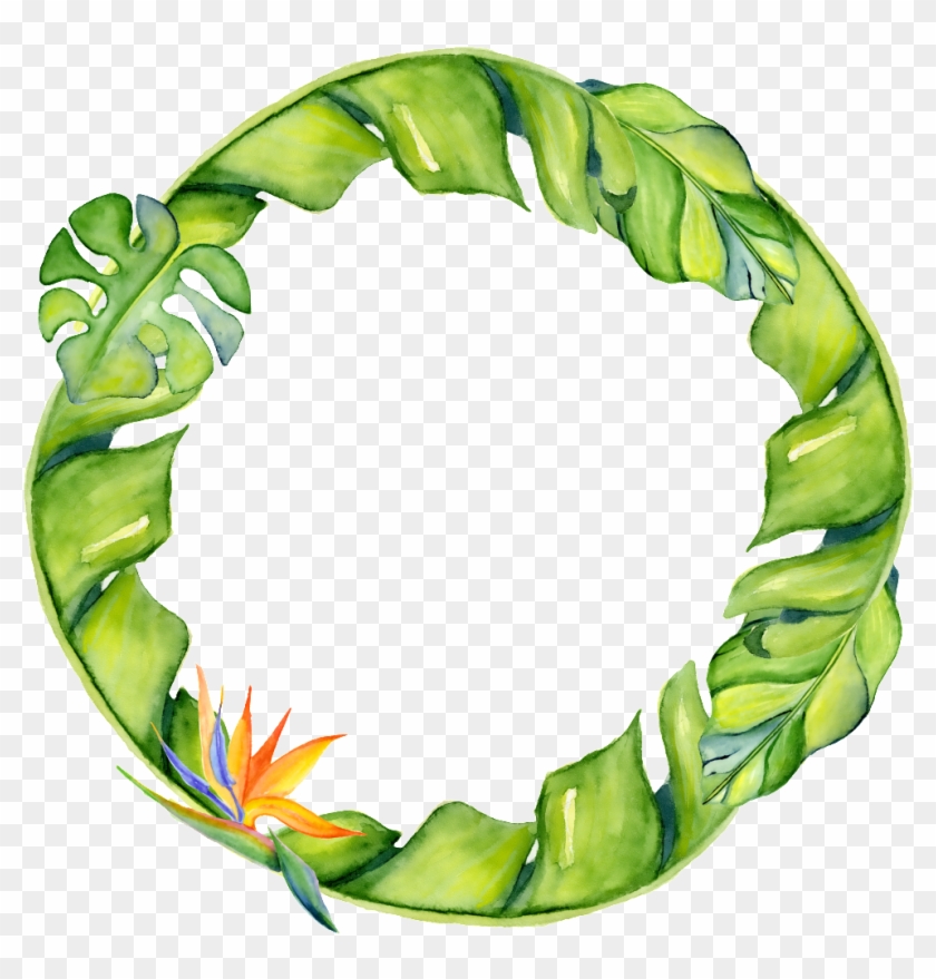 Hand-painted Banana Leaf Circle Png Transparent - Leaf #1196122