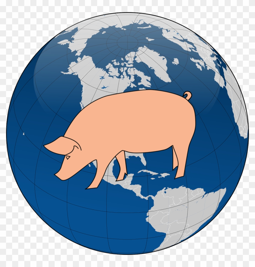 What's New In The Swine Market - 3drose Ht 43704 1 Blue White Earth Globe-iron On Heat #1196130