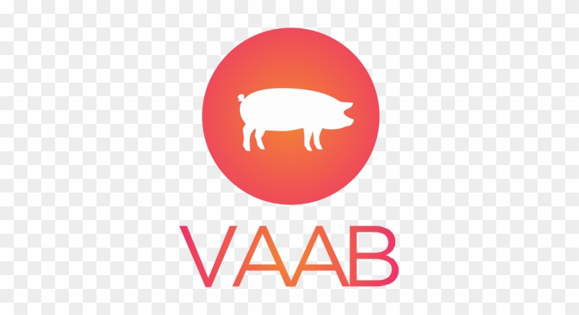 Swine › Vaab - Infomedia 18 #1196136