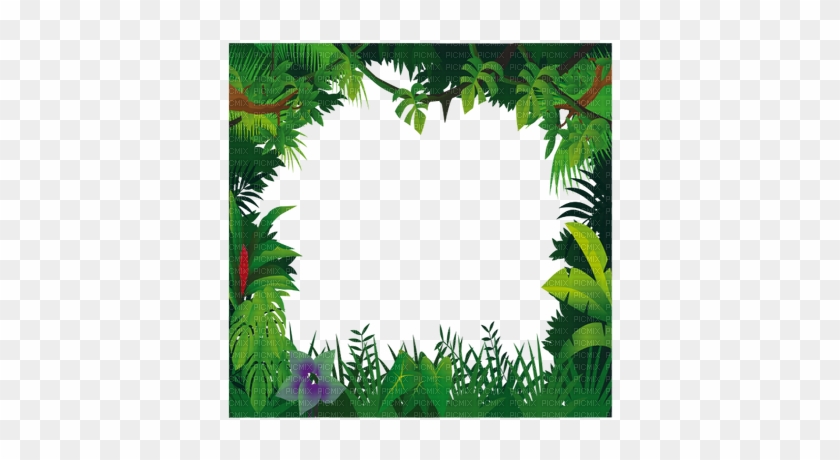 Jungle Frame, Jungle Frame - Jungle Frame Clipart #1196214