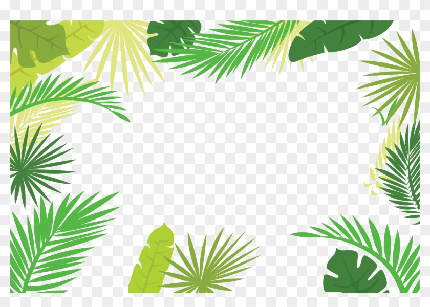 Arecaceae Text Branch Leaf Illustration - Tropical Leaves Border Png #1196224