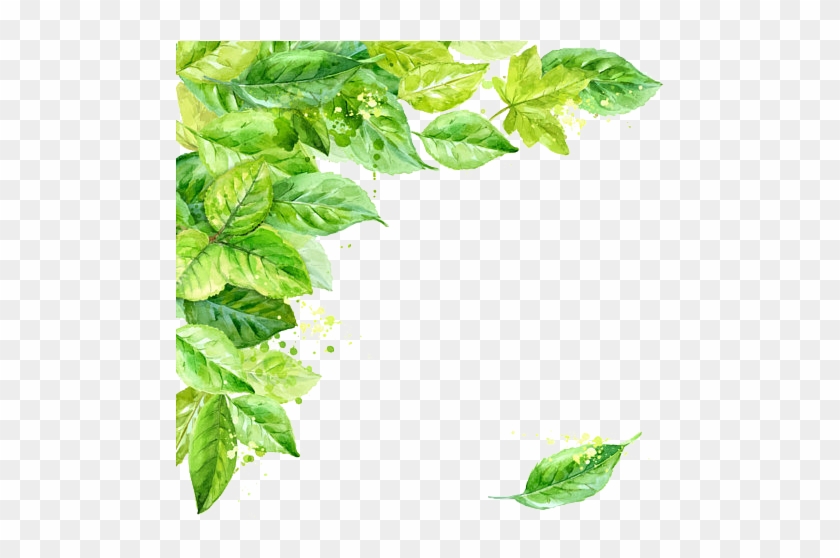 Leaf Frame Transparent Background - Watercolor Leaves Frame Png #1196233