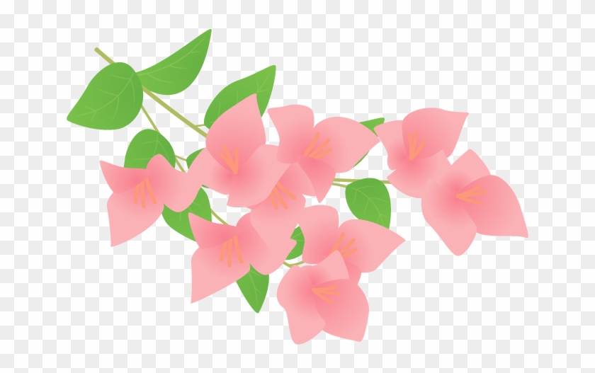 Bougainvillea Petal Plant Flower - ブーゲンビリア イラスト #1196243