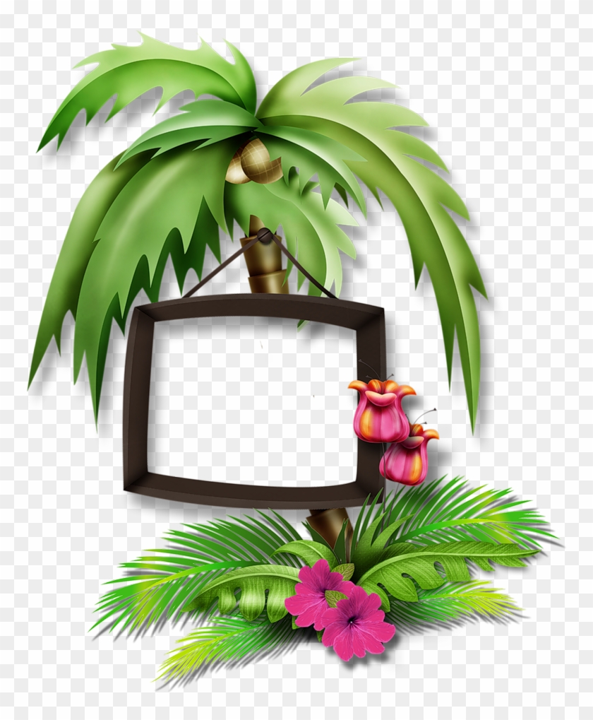 Coconut Tree Png Images Transparent Free Download - Gi Tube Cadre Pour Créations #1196256