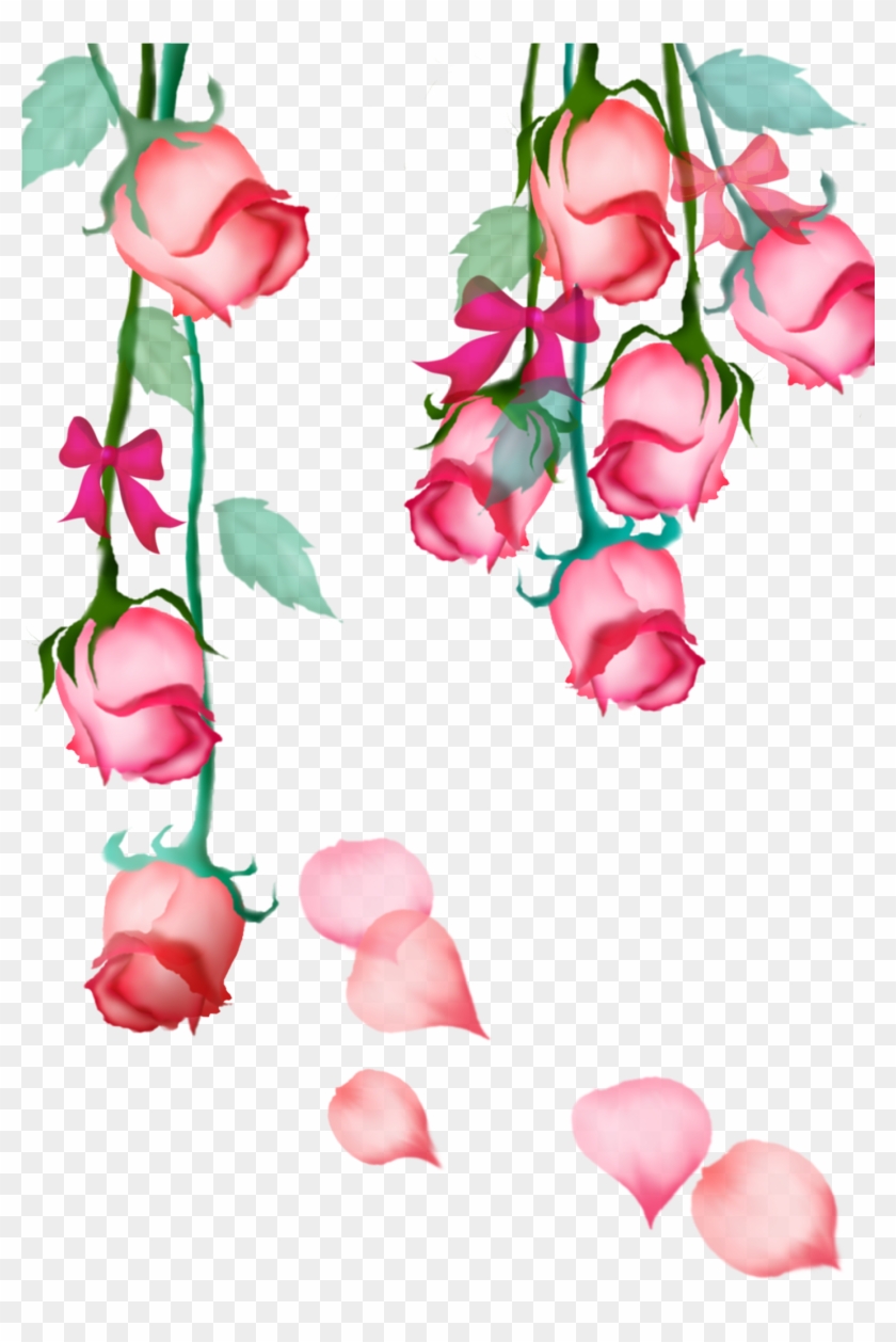 Garden Roses Beach Rose Pink Petal Flower - Rose #1196274