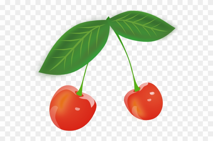 Two Red Cherries Svg Clip Arts 600 X 493 Px - Gambar Buah Cherry Merah #1196418