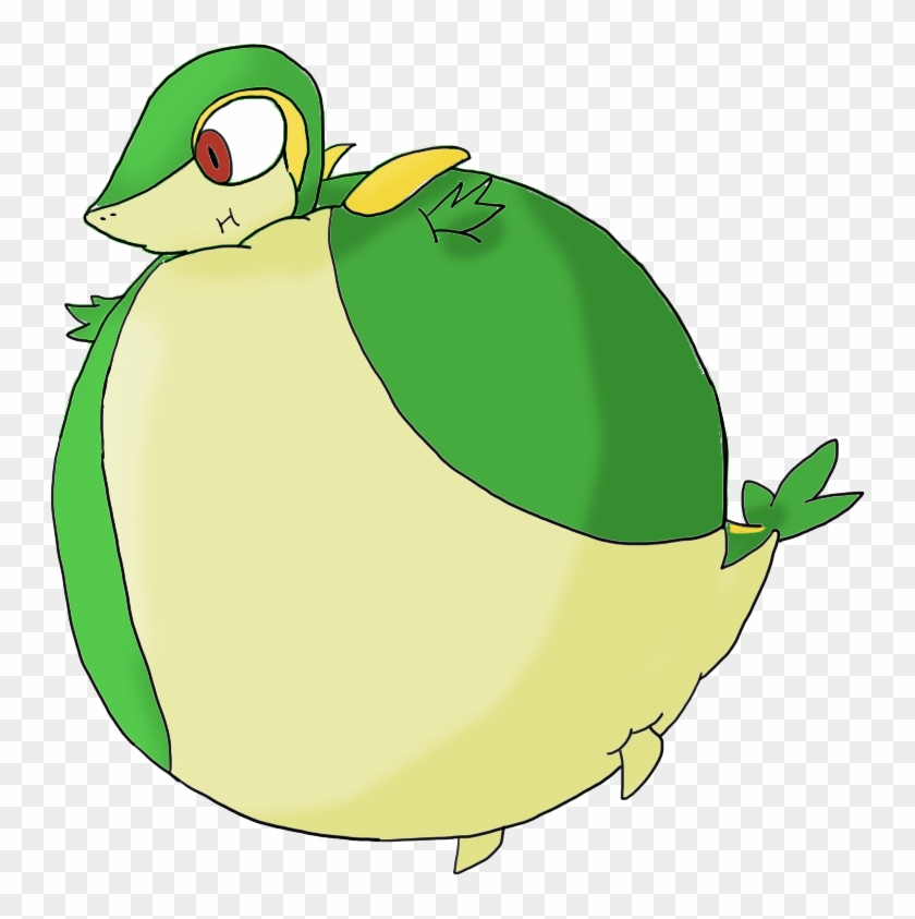 Pokemon Snivy Fat Images - Snivy Inflated #1196748