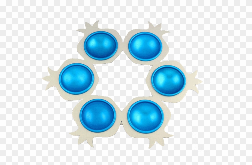 G2 Phases Cell Cycle Diagram #1196808