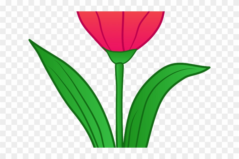 Tulip Clipart Tulip Flower - Clip Art #1197083