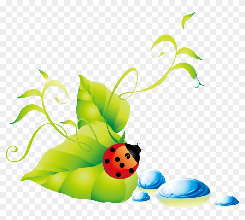 Green Leaf Ladybug Water Droplets Background Vector - Vector #1197355