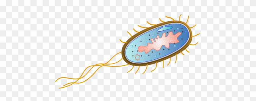 Influenza Viruses And E Coli Bacteria Stock Vector - Bacteria Escherichia Coli Png #1197353