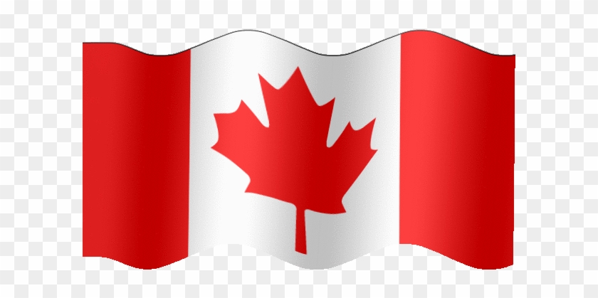 Source - Www - Tzorafolk - Com - Report - Canadian - Canada Flag Gif Transparent #1197667