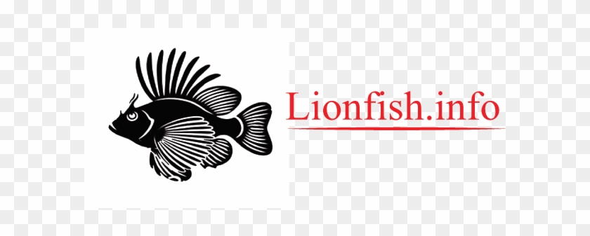 Lionfish Information - Nitesh Estates #1198016