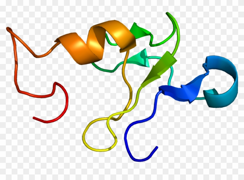 Protein Data Bank #1198153