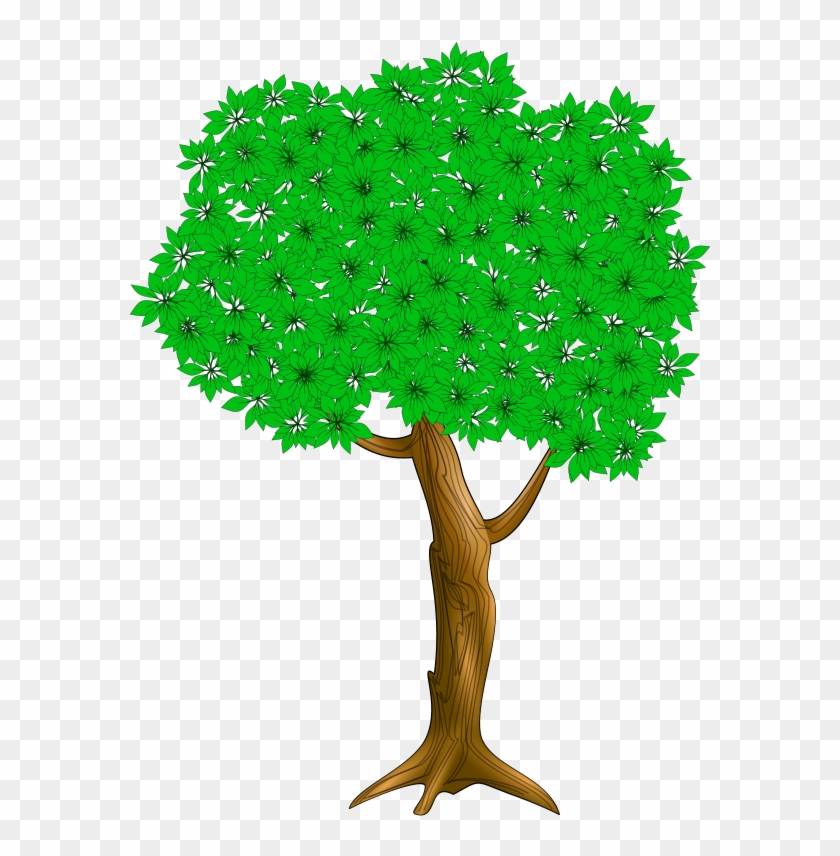 Medium Image - Nut Tree #1198728
