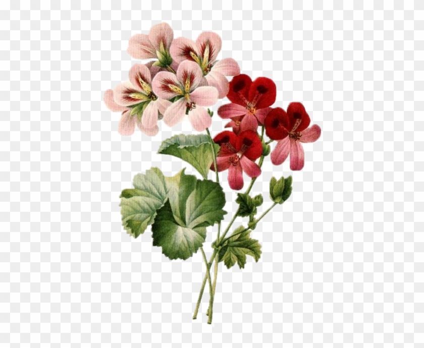 Flower Bouquet Vintage Clothing Floral Design Clip - Vintage Flower Pattern Png #1198749