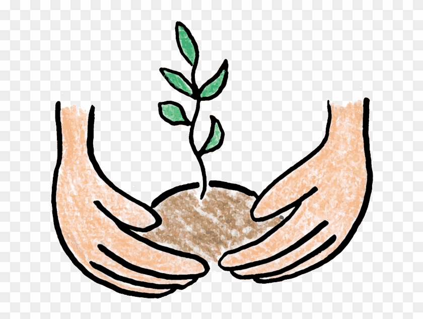 Growing Plant Clipart - Planting Clip Art #1198798
