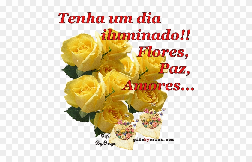 Quero Agradecer A Sua Amizade - Mensagens De Flores De Bom Dia #1198808