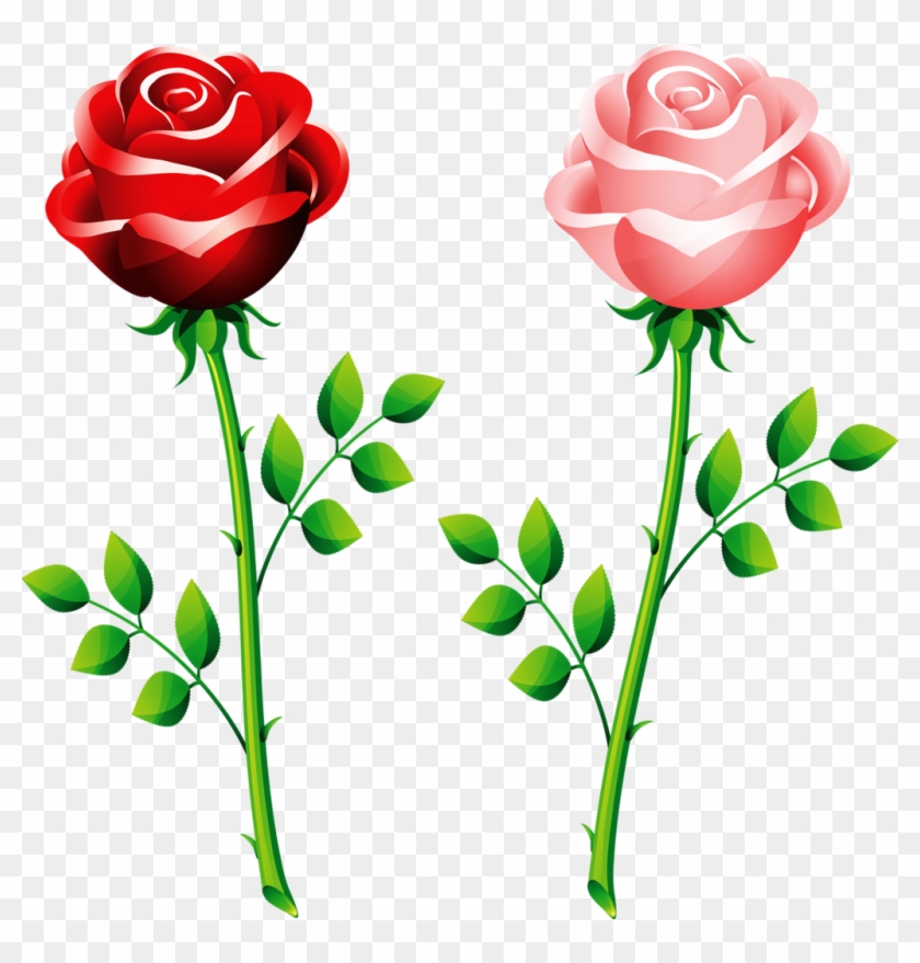 Flôres - Rose Vector #1199031