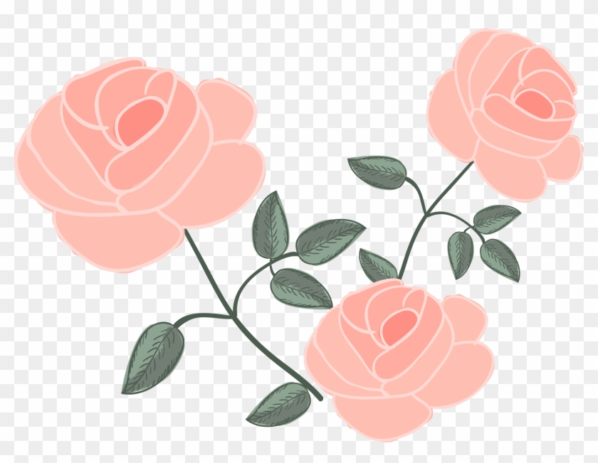 Rose Flower Euclidean Vector Drawing - Shabby Chic Floral Vector Free #1199046