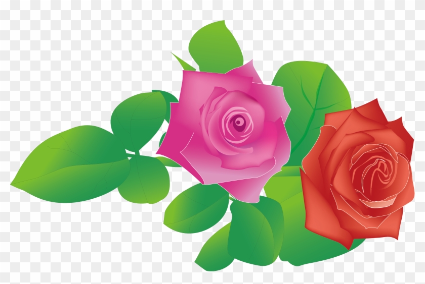 Garden Roses Beach Rose - Rose #1199068