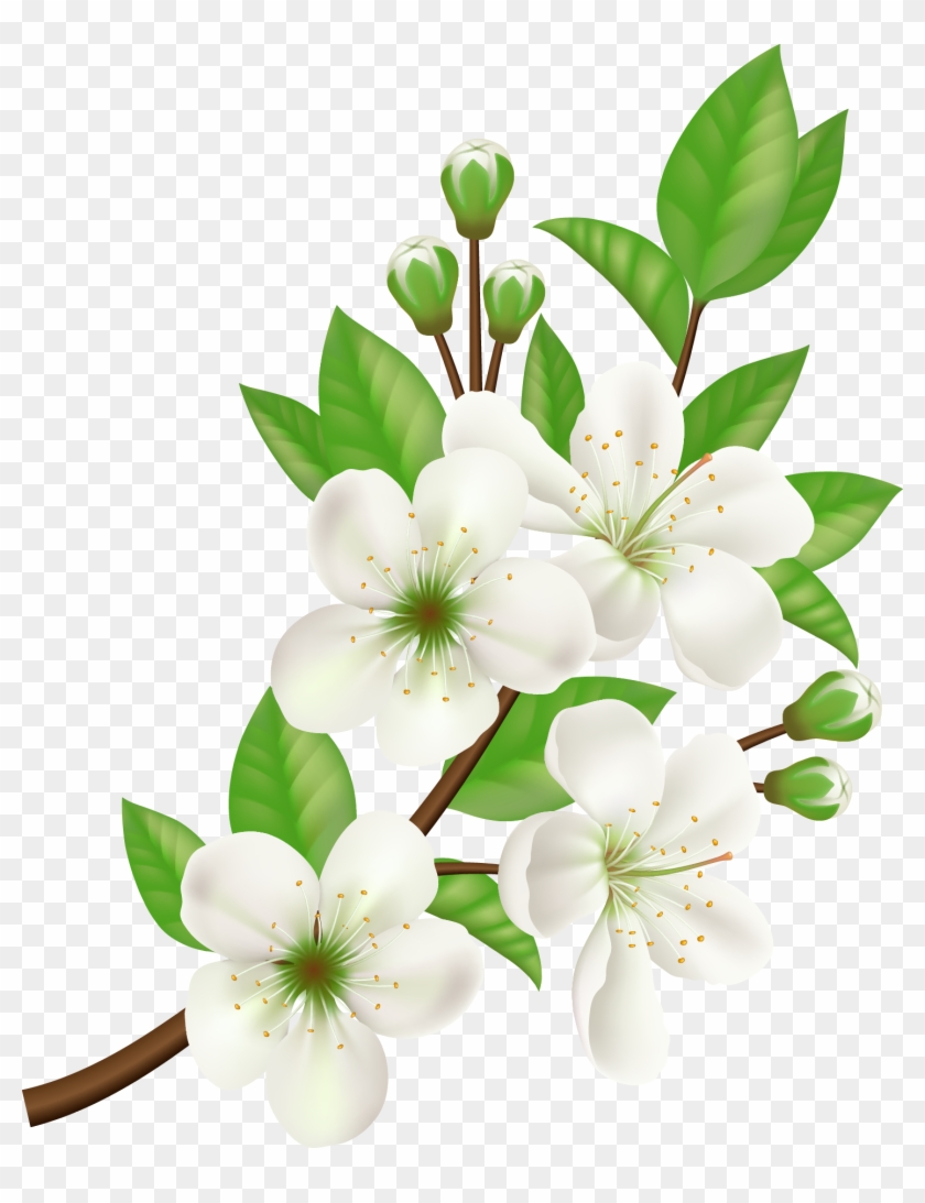 Royalty-free Computer Icons Flower - White Flower Vector Png #1199226