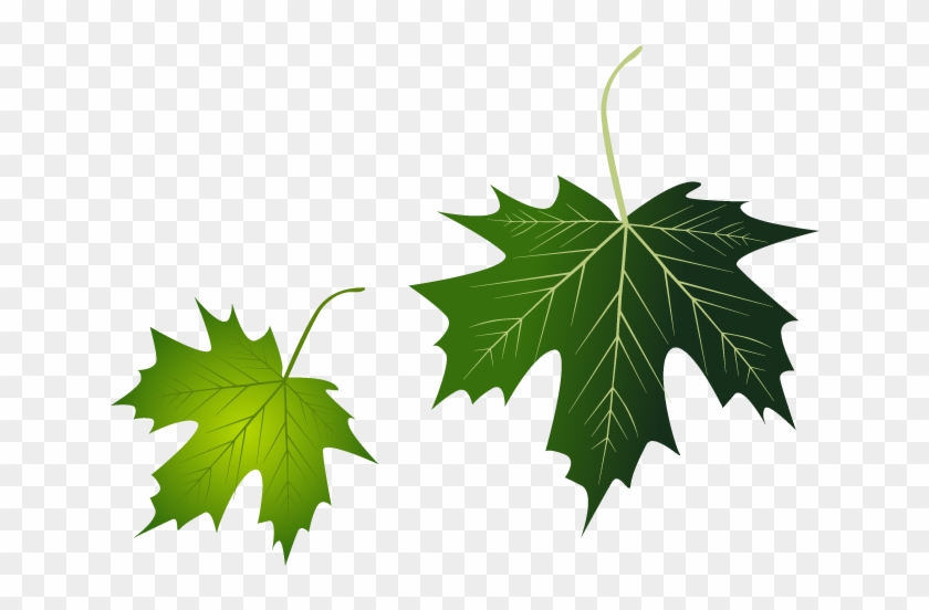 Grape Leaves Leaf - Yedi Harf Yalnızlığı Abdurrahman Adıyan İbrişim Kitap #1199379
