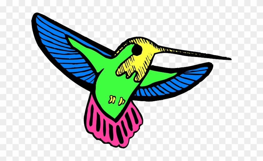 Bird, Color, Wings, Hummingbird, Feathers, Multicolored - Colibri Clip Art #1199818